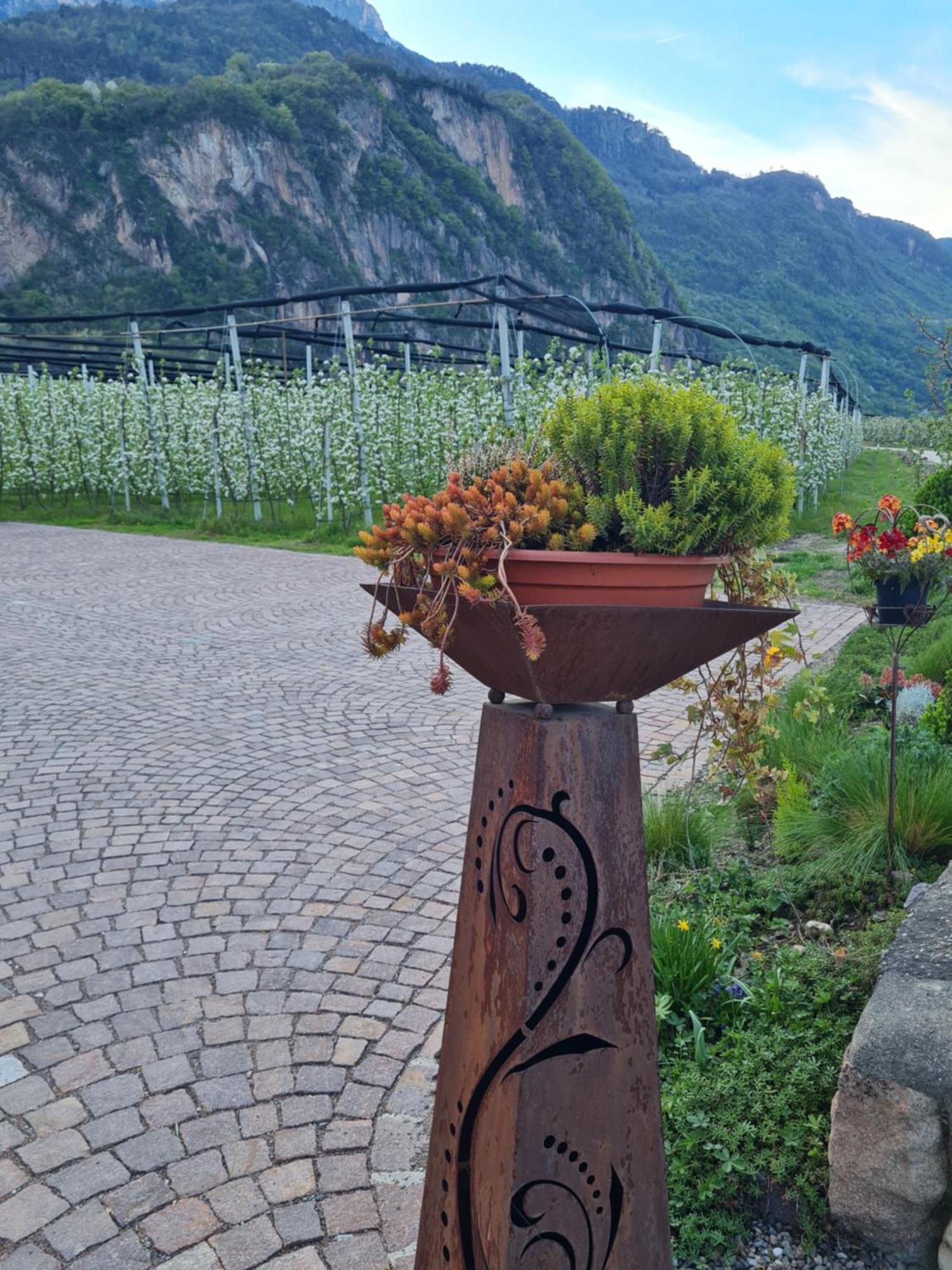Versigglhof Appiano Sulla Strada Del Vino Dış mekan fotoğraf
